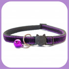 Kitten-090